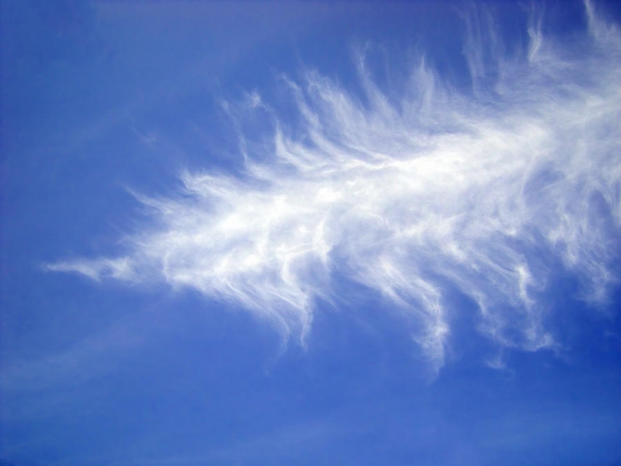 White Feather Cloud Photograph by Neven Spirkoski