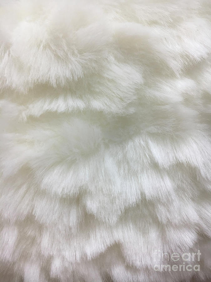 White fur background #1 Photograph by Tom Gowanlock