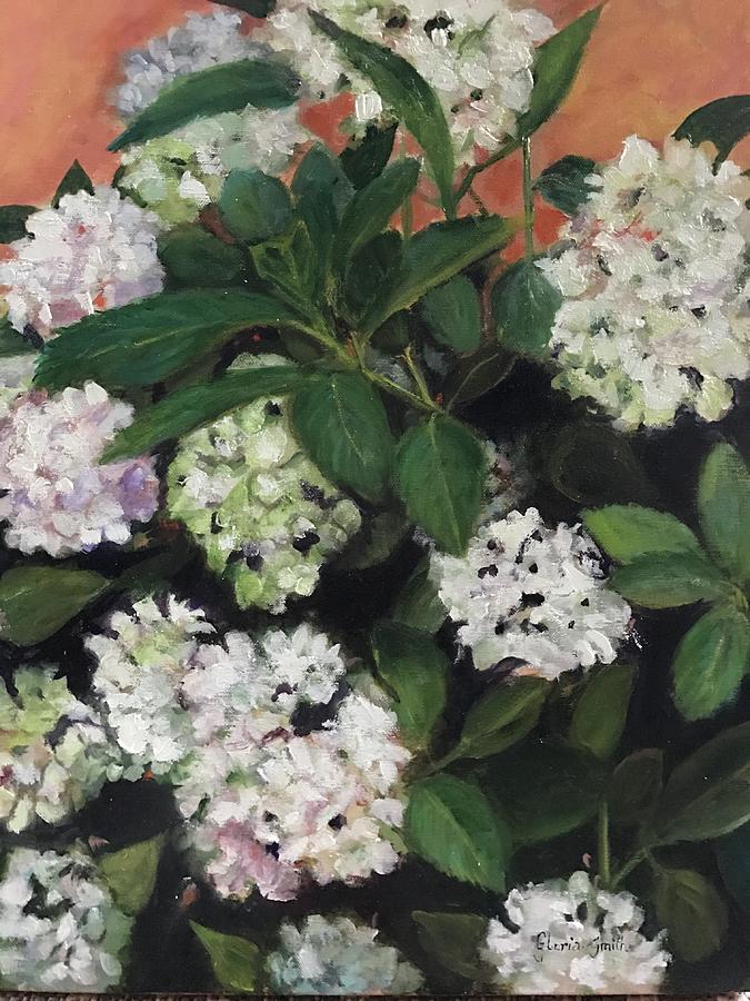 White Hydrangeas  #2 Painting by Gloria Smith