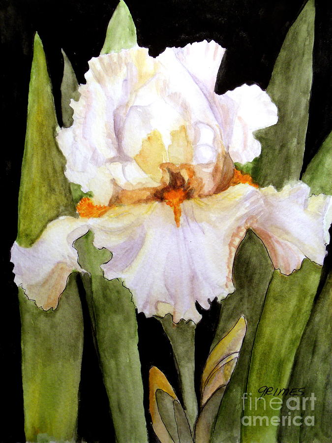 White Iris in the Garden #1 Painting by Carol Grimes