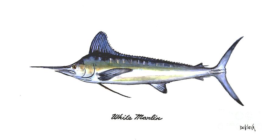 White Marlin Painting by Joe Dekleva | Pixels