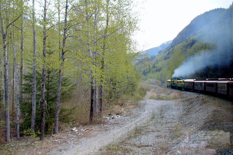 White Pass And Yukon Route Railroad Out Of Skagway Alaska  #1 Photograph by Rick Rosenshein