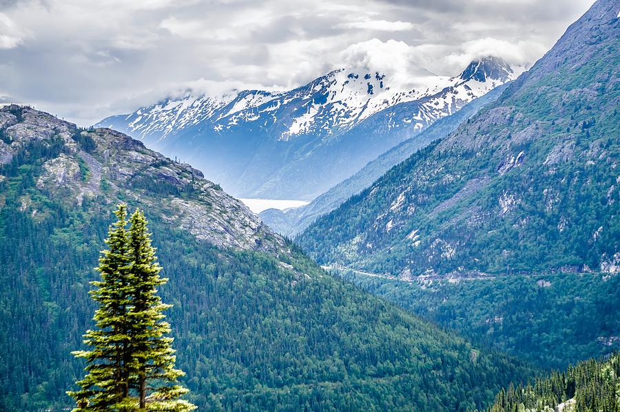 White Pass Mountains In British Columbia #1 Photograph by Alex Grichenko