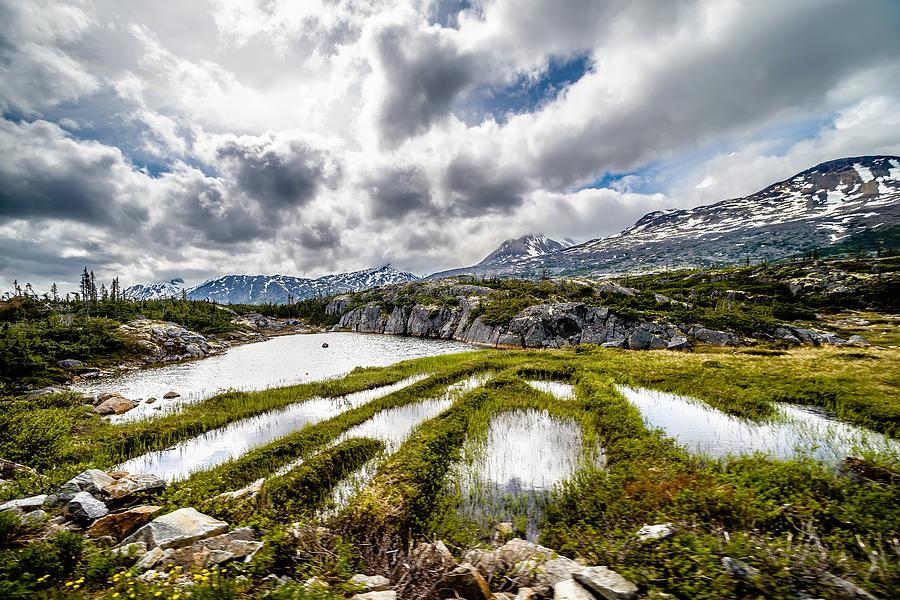 White Pass Yukon British Columbia Between Alaska And Canada #1 Photograph by Alex Grichenko
