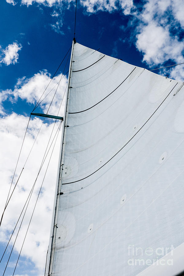 White Sail White Clouds Blue Sky #1 Photograph by Thomas Marchessault