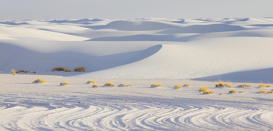 White Sands New Mexico #1 Photograph by Elvira Butler