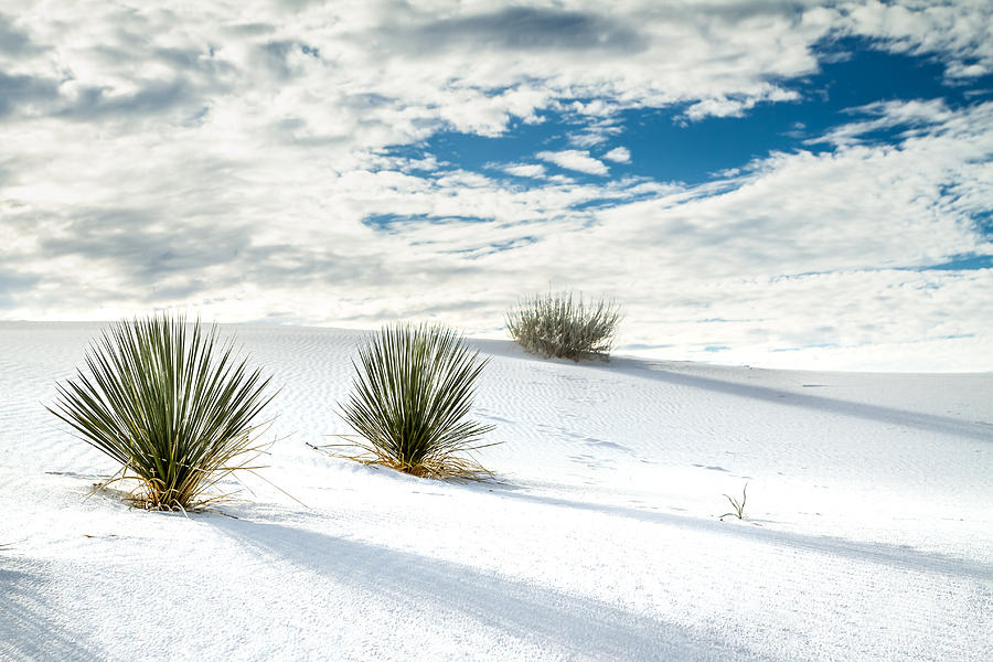 White Sands, New Mexico #1 Photograph by Ron Pate