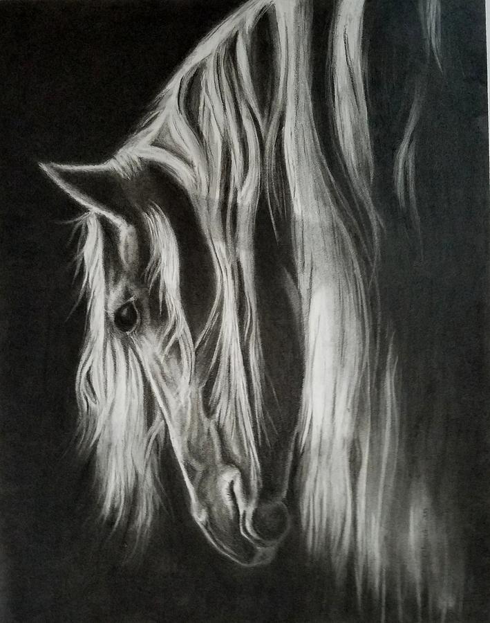 White Stallion in Shadows #2 Drawing by Priscilla Magaardan Andrews ...