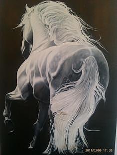 White Stallion Painting by Michelle Symington - Fine Art America