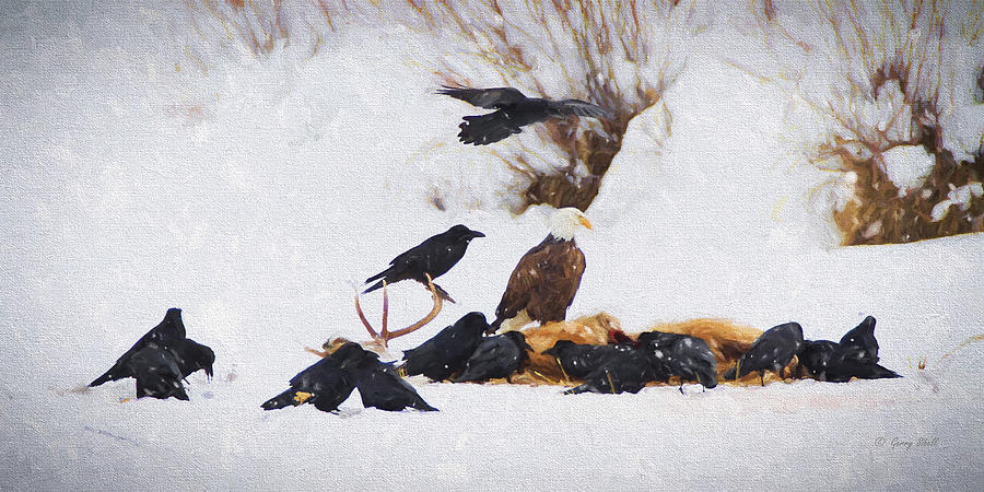 Yellowstone National Park Digital Art - Who Rang The Dinner Bell #2 by Gerry Sibell