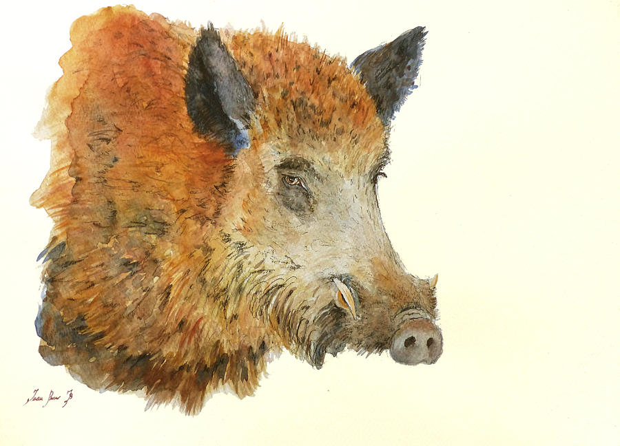 Wild Boar Painting - Wild boar watercolor painting #1 by Juan  Bosco