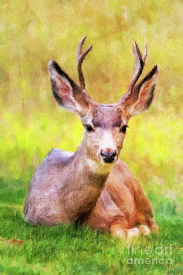 Wild Deer Painting