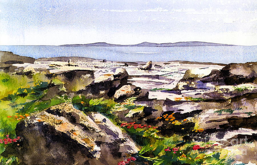 Wild flowers in the Burren, Clare. #1 Painting by Val Byrne