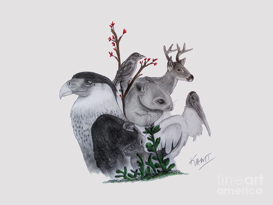 Wild Life FL by Kami Catherman Wild Life FL by Kami Catherman
