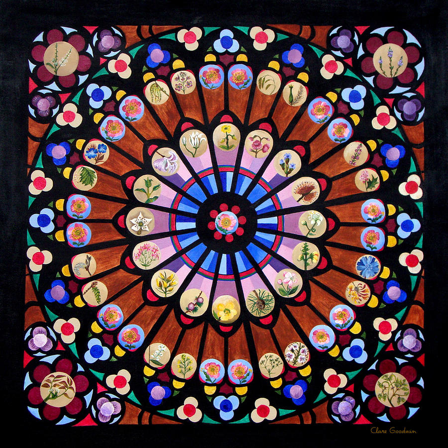 Wild Rose Window #1 Painting by Clare Goodwin