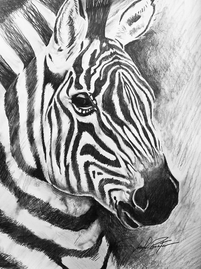 Wild Stripes Drawing by Joseph Palotas - Fine Art America