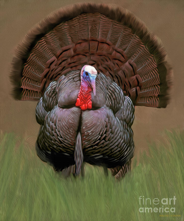 Wild Turkey #1 Digital Art by Walter Colvin