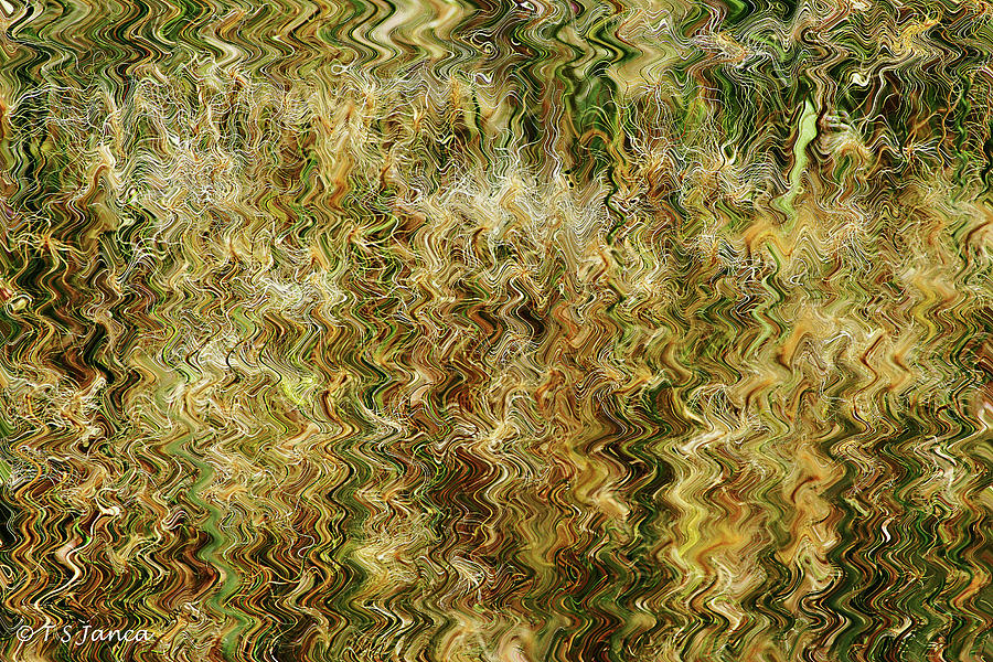 Wild Wheat Grass Abstract #1 Digital Art by Tom Janca