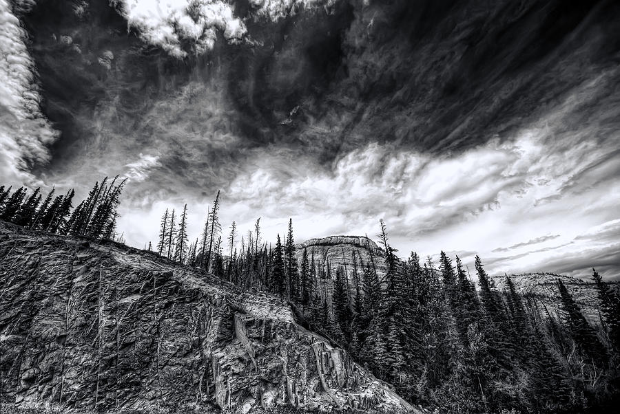 Wilderness Photograph by Wayne Sherriff