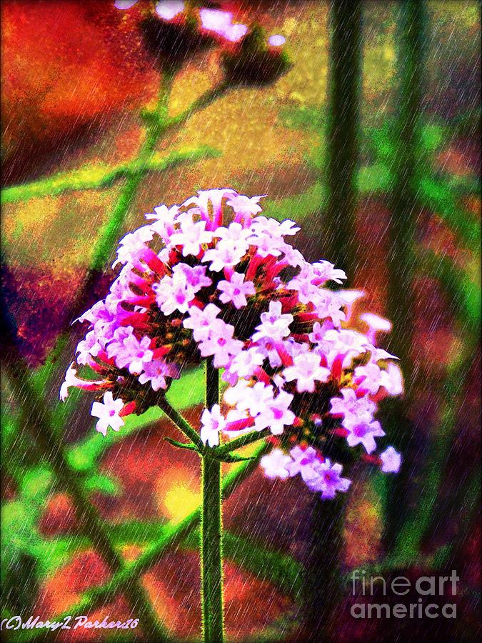 Wild flowers ll Digital Art by MaryLee Parker