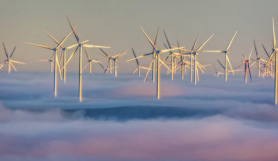 Wind Turbines in Fog #1 Photograph by Marc Crumpler