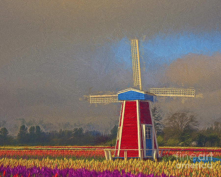 Windmill Photograph