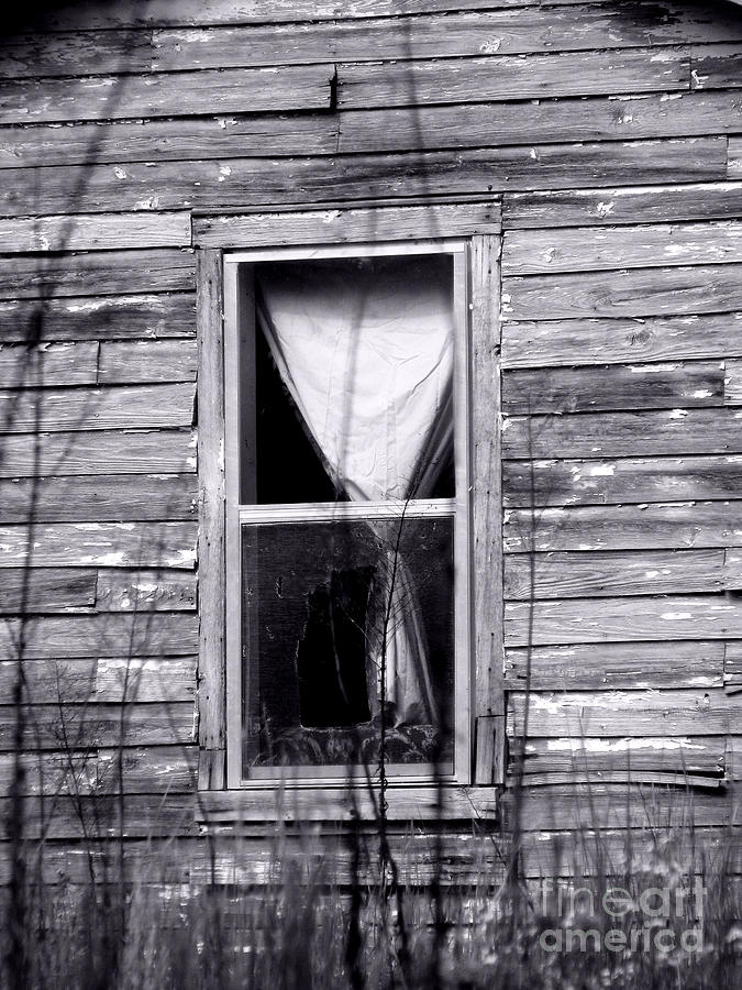 Window Photograph by Amanda Barcon - Fine Art America