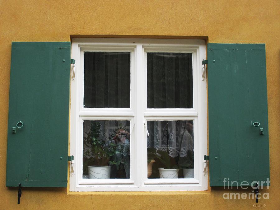 Window in Augsburg #3 Photograph by Chani Demuijlder
