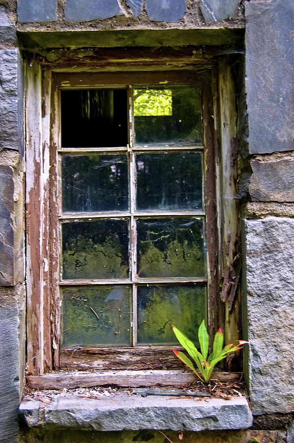 Window #1 Photograph by Judy Swerlick