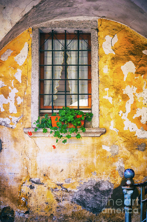 Window with geraniums #1 Photograph by Silvia Ganora
