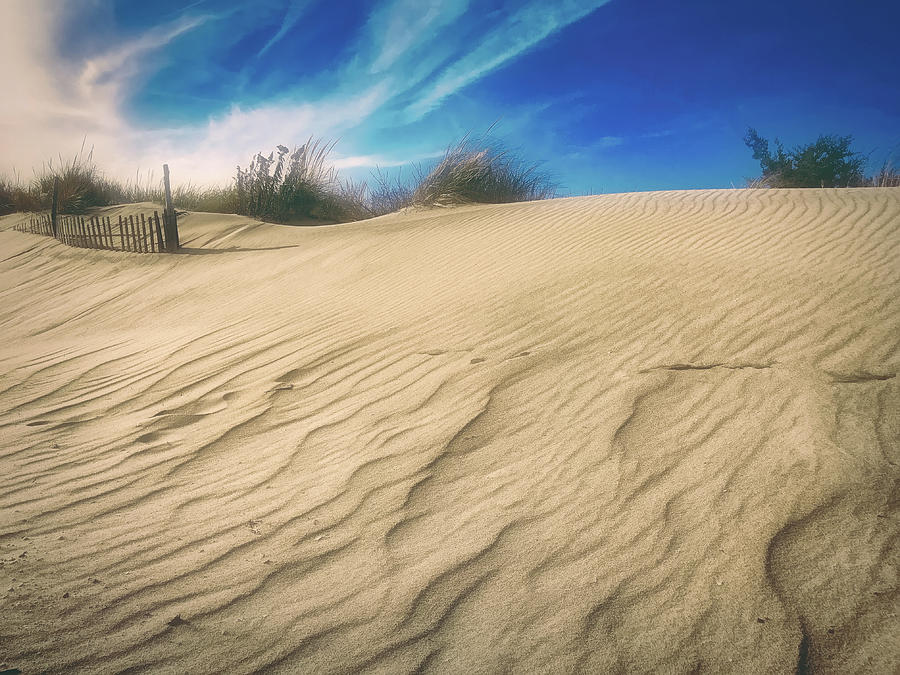 Windswept Sandy Hook Dune #1 Photograph by Gary Slawsky