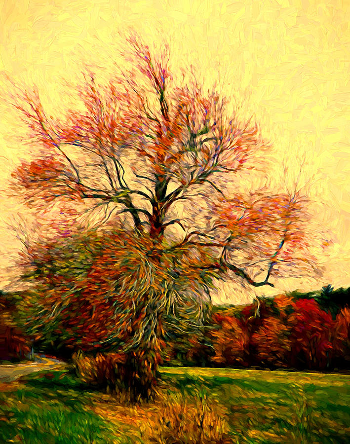 Windy Autumn Tree #1 Digital Art by Lilia S