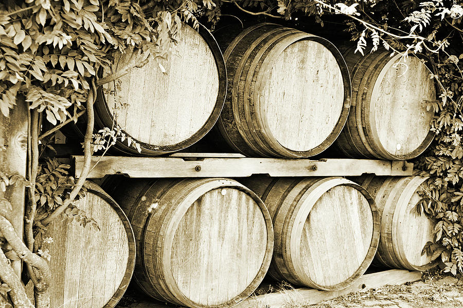 Wine Photograph - Wine Barrels by Scott Pellegrin