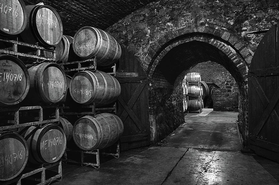 Wine Cellar #2 Photograph by Eleanor Bortnick
