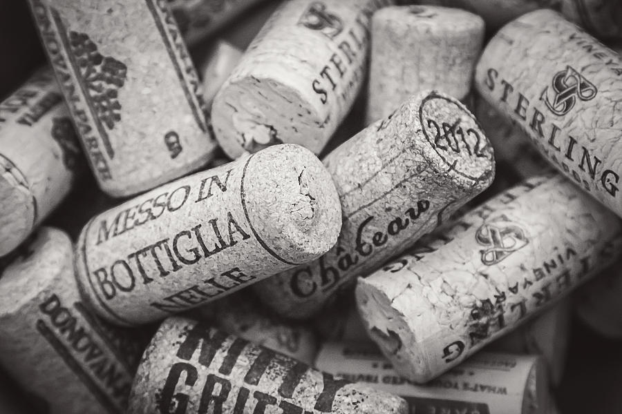 Wine Photograph - Wine Corks Black and White by April Reppucci