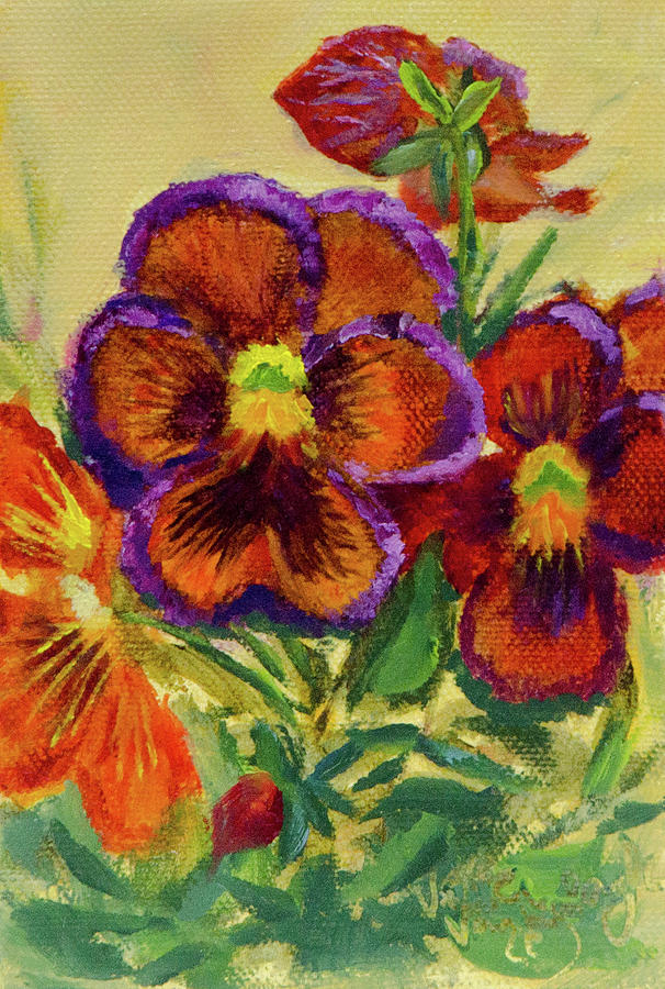 Seed Packet Painting - Wine Flash Pansies 2 by Vicki VanDeBerghe Seed Packet Painting - Wine Flash Pansies 2 by Vicki VanDeBerghe