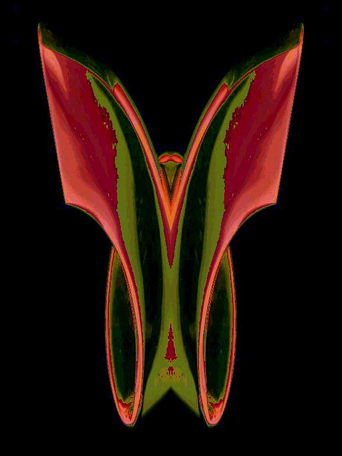Wings #1 Digital Art by Mary Russell Wings #1 Digital Art by Mary Russell
