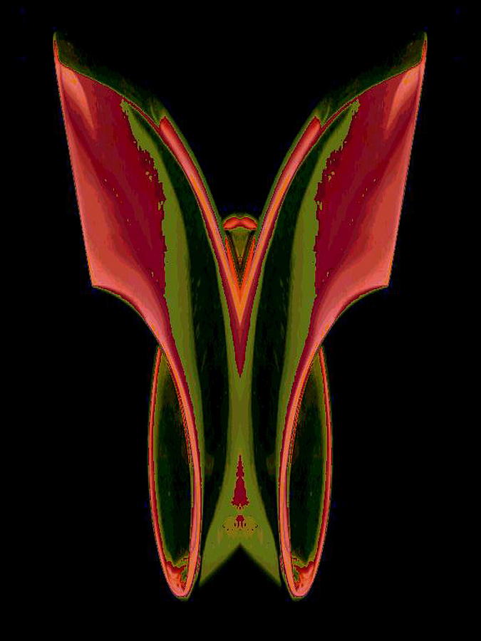 Wings #1 Digital Art by Mary Russell