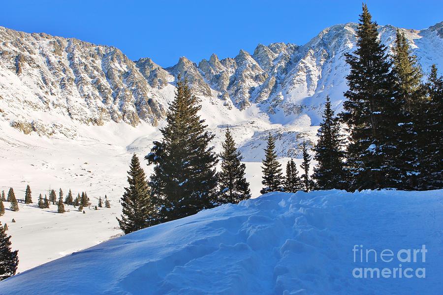 Winter at 12,000 feet Photograph by Tonya Hance - Fine Art America