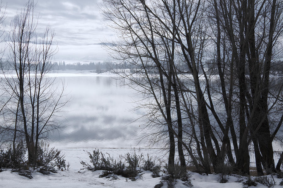 Winter at the Lake #1 Photograph by Douglas Pulsipher