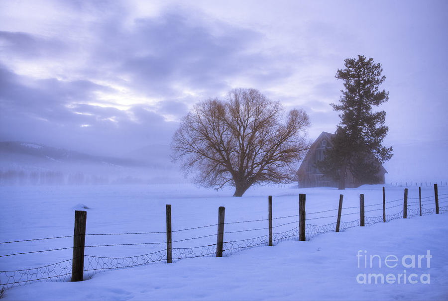 Winter Atmosphere #1 Photograph by Idaho Scenic Images Linda Lantzy