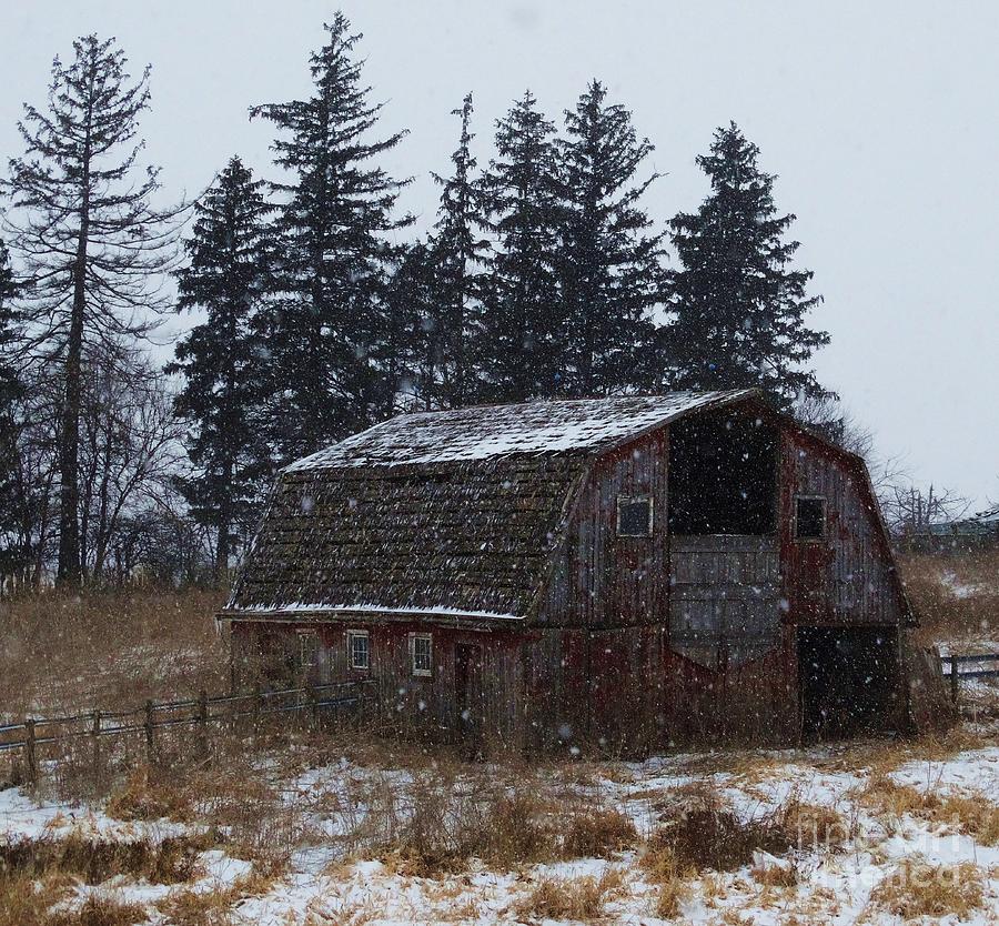 Barn Photograph - Winter Barn Beauty #1 by J L Zarek
