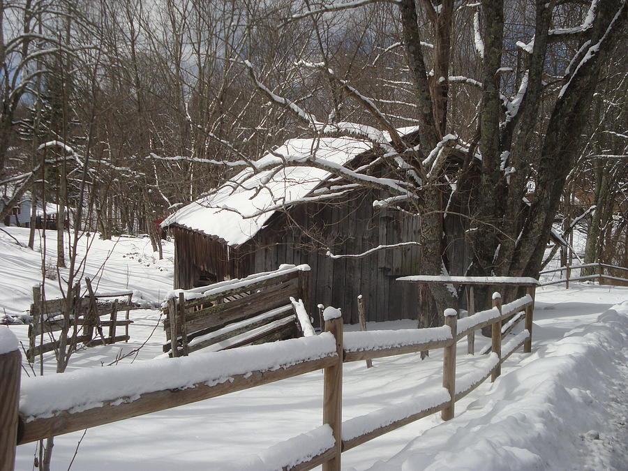Winter Barn #1 Photograph by Bill TALICH