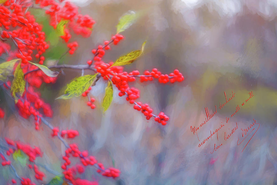 Winter Berries #1 Photograph by June Marie Sobrito