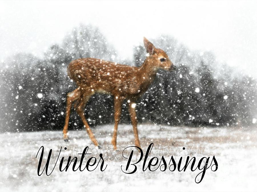 Blessings of Winter pattern * - 721762485804