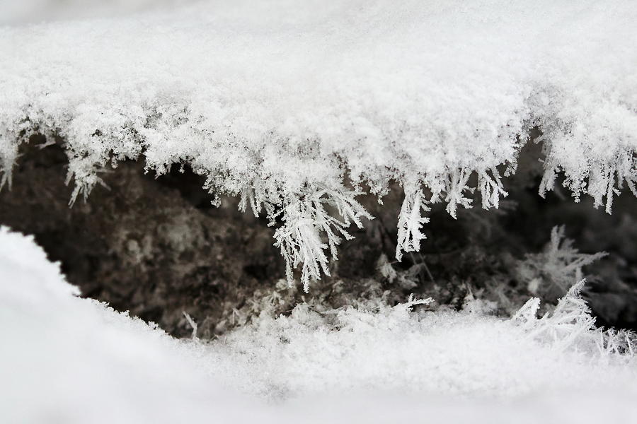 Winter brook #1 Photograph by Jouko Lehto