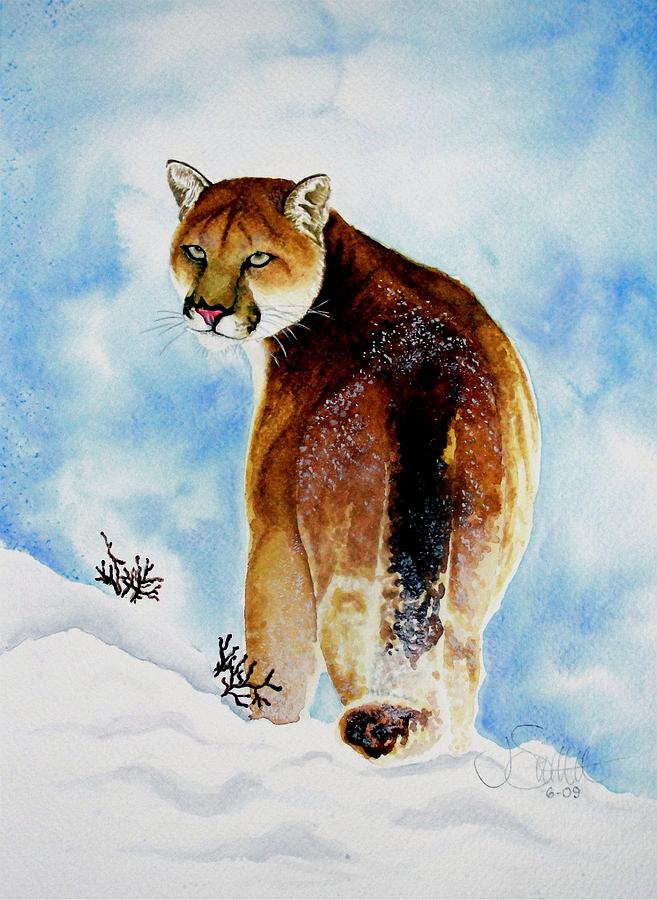 Winter Cougar Painting by Jimmy Smith | Fine Art America