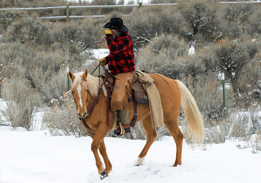 Winter Cowboy #2 Photograph by Michael Dawson