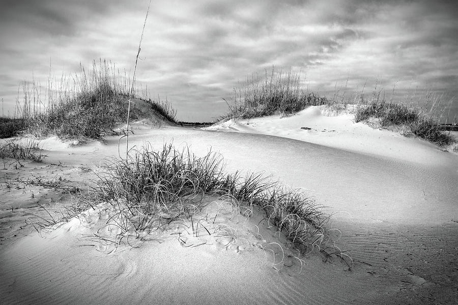 Winter Dunes #1 Photograph by Paul Malcolm