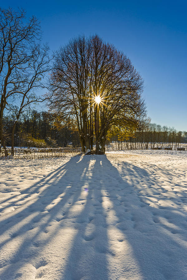 Winter #1 Photograph by Elmer Jensen